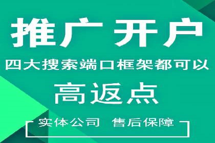 知名SEM代运营公司案例解析